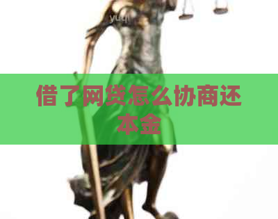 借了网贷怎么协商还本金