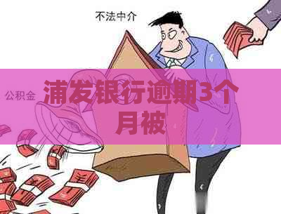 浦发银行逾期3个月被