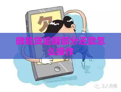 微粒贷逾期部分还款怎么操作