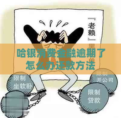 哈银消费金融逾期了怎么办还款方法