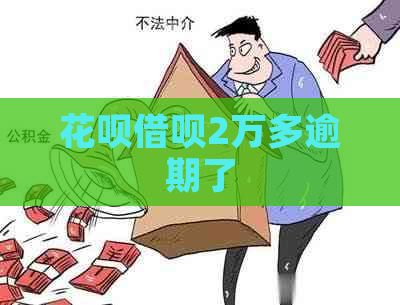 花呗借呗2万多逾期了