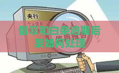 借呗和白条逾期后果如何处理