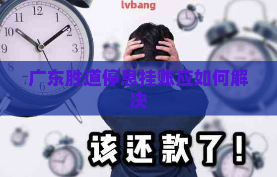 广东胜道停息挂账应如何解决