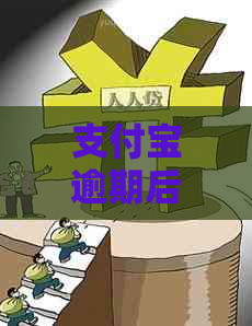 支付宝逾期后上门通知怎么处理