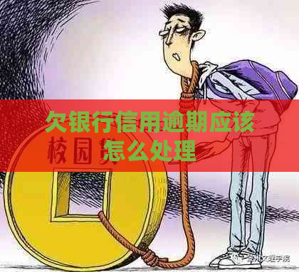 欠银行信用逾期应该怎么处理