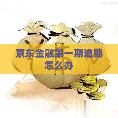 京东金融之一期逾期怎么办