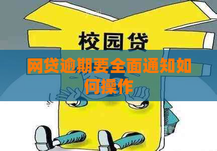 网贷逾期要全面通知如何操作