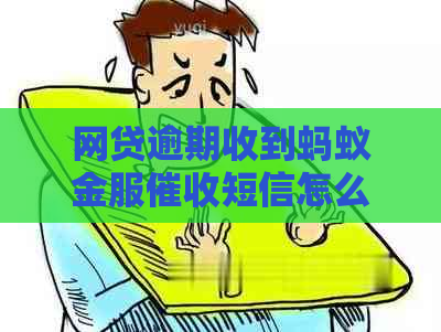 网贷逾期收到蚂蚁金服短信怎么办