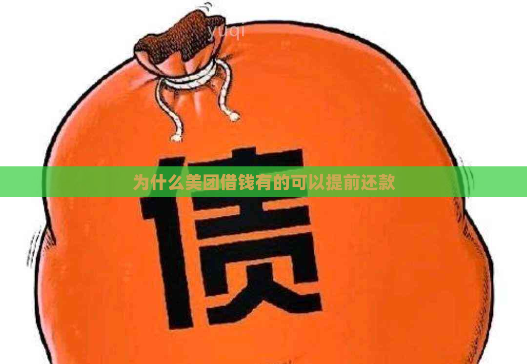 为什么美团借钱有的可以提前还款