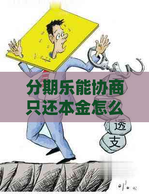 能协商只还本金怎么办