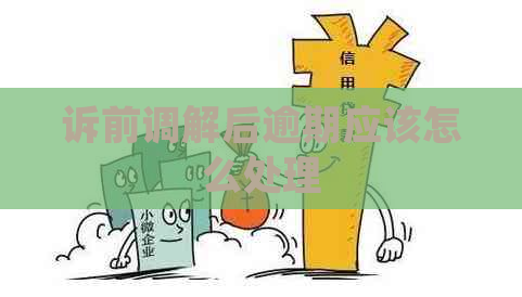 诉前调解后逾期应该怎么处理