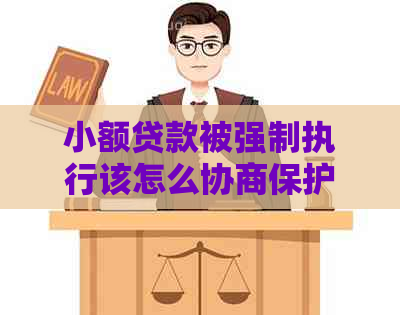 小额贷款被强制执行该怎么协商保护自己