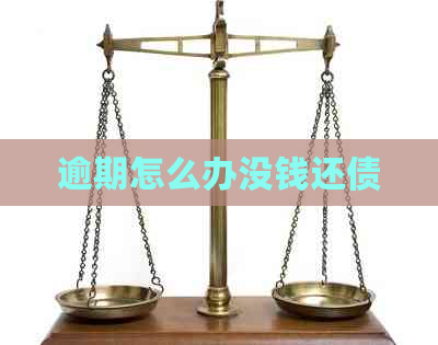 逾期怎么办没钱还债