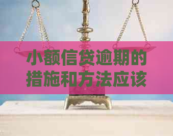 小额信贷逾期的措施和方法应该怎么办理