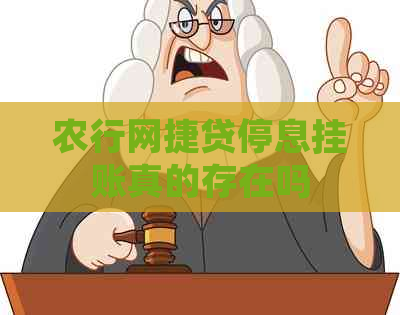 农行网捷贷停息挂账真的存在吗