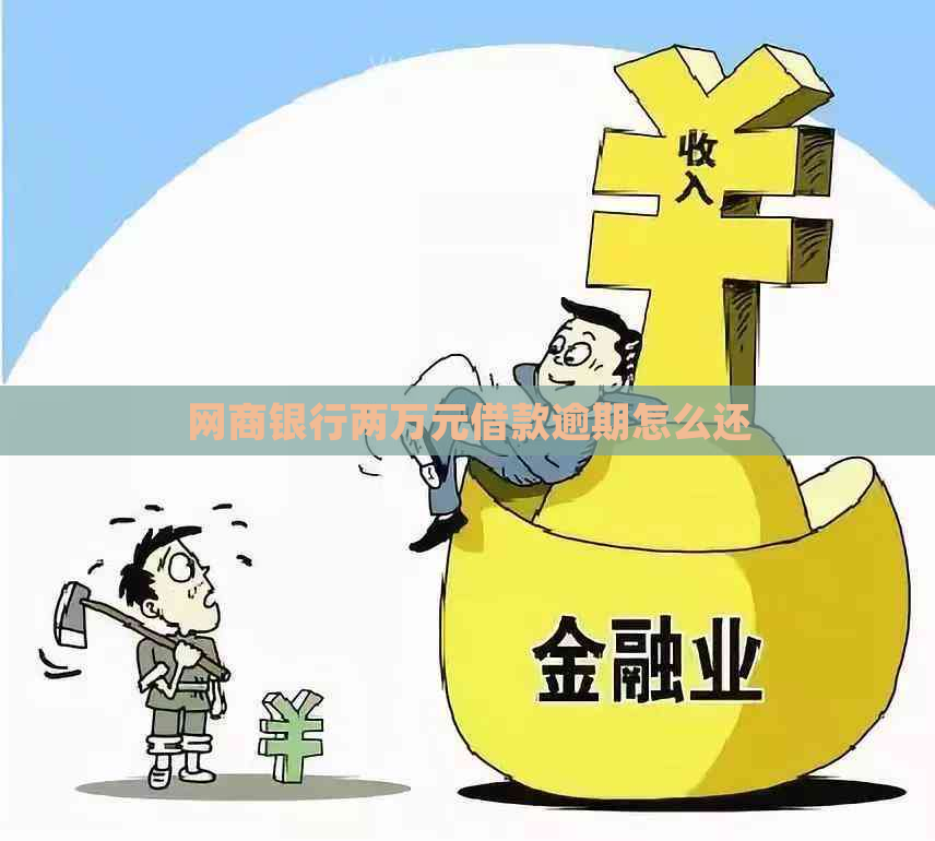 网商银行两万元借款逾期怎么还