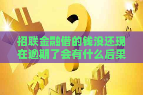 招联金融借的钱没还现在逾期了会有什么后果