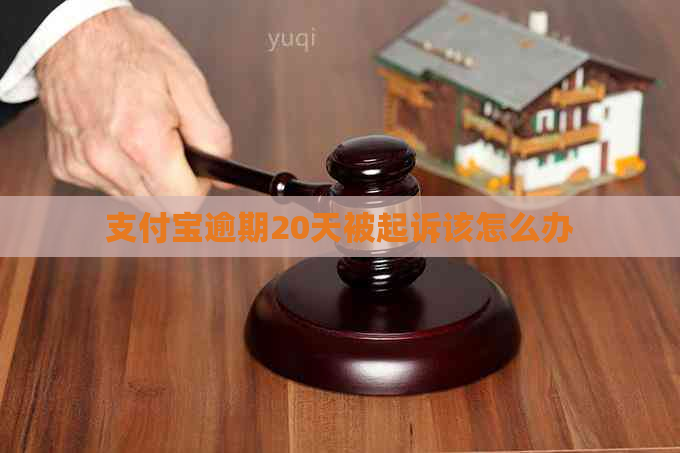 支付宝逾期20天被起诉该怎么办