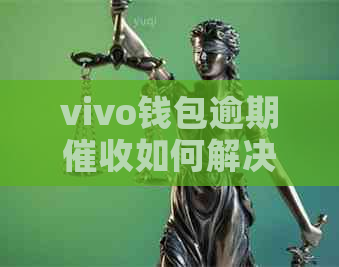 vivo钱包逾期如何解决