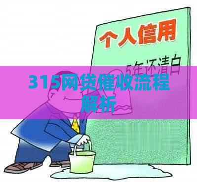 315网贷流程解析