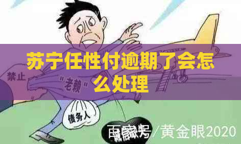 苏宁任性付逾期了会怎么处理