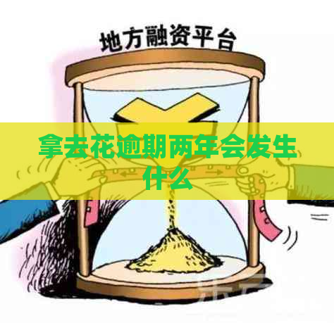 拿去花逾期两年会发生什么