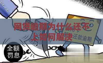 网贷逾期为什么还不上如何解决