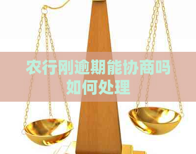 农行刚逾期能协商吗如何处理