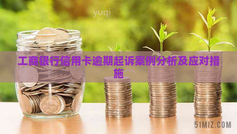 工商银行信用卡逾期起诉案例分析及应对措施