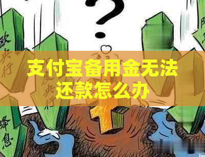 支付宝备用金无法还款怎么办