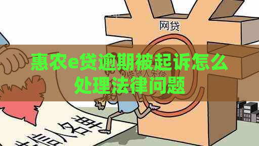 惠农e贷逾期被起诉怎么处理法律问题