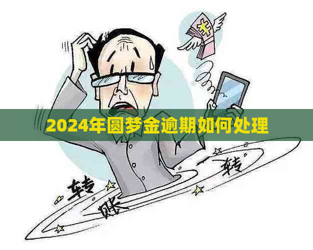 2024年圆梦金逾期如何处理