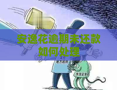 安逸花逾期未还款如何处理