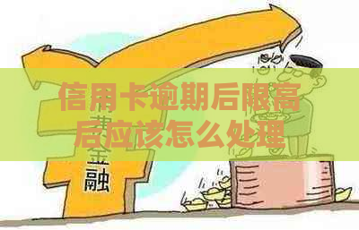 信用卡逾期后限高后应该怎么处理