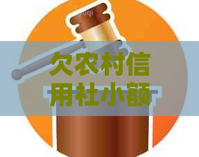 欠农村信用社小额贷款怎么还