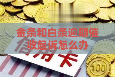 金条和白条逾期起诉怎么办