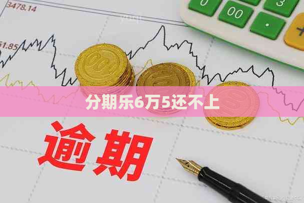 6万5还不上