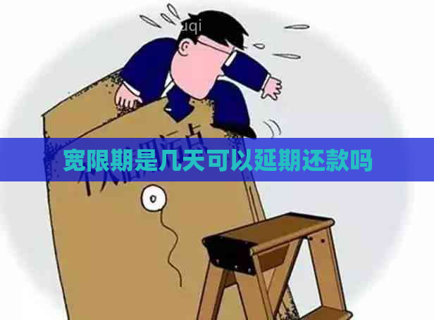 宽限期是几天可以延期还款吗