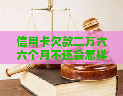 信用卡欠款二万六六个月不还会怎样