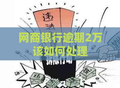 网商银行逾期2万该如何处理