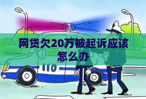 网贷欠20万被起诉应该怎么办