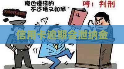 信用卡逾期会泄纳金