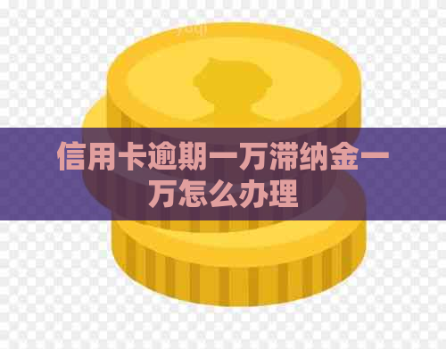 信用卡逾期一万滞纳金一万怎么办理