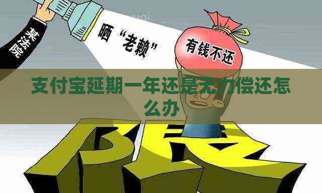 支付宝延期一年还是无力偿还怎么办