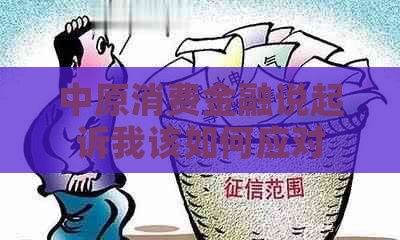 中原消费金融说起诉我该如何应对