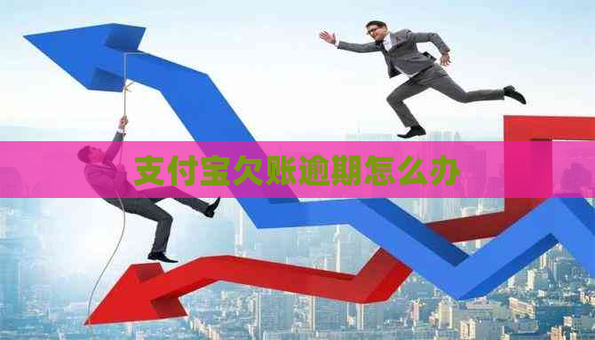 支付宝欠账逾期怎么办