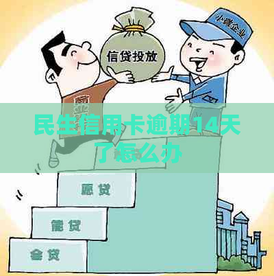 民生信用卡逾期14天了怎么办