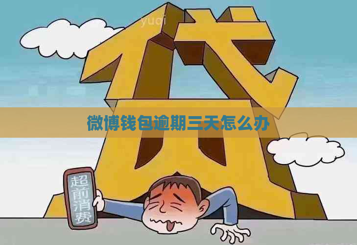 微博钱包逾期三天怎么办