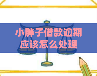 小胖子借款逾期应该怎么处理