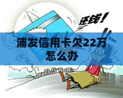 浦发信用卡欠22万怎么办